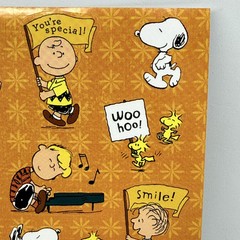 Peanuts Characters Stickers Snoopy Charlie Brown Encouragements 1 Sheet 13 Stkrs