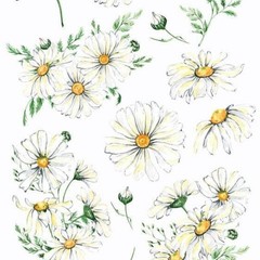 Violette Stickers – White Daisies – 1 Daisy Flowers Sticker Sheet – Scrapbooks