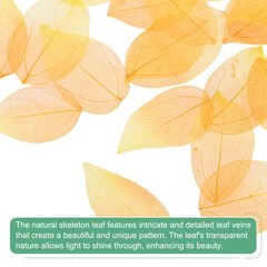 100-Pack Skeleton Leaves, Natural Rubber Leaves Vein[4-6cm, Yellow Tangerine]