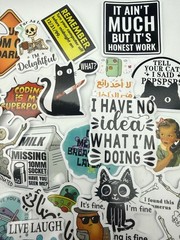 NEW Meme Stickers 15 Pcs Funny Humor Laptop Water Bottle Savage Snarky Sassy