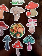 STICKERS x 10 Red Mushroom Garden Forest Mushrooms Third Eye Delic FEBG4