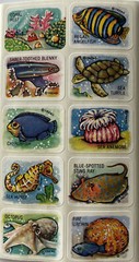 CORAL REEF Stickers(10pc)Trend •Fish•Ocean•Sea Turtle•Anemone •Octopus•Sting•