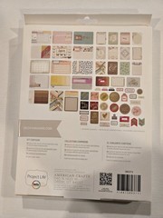 BN Project life Notes and things edition 130 pces journaling cards Item #380373