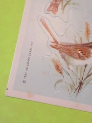 vintage 80s Hallmark wild birds sticker sheet *damaged*