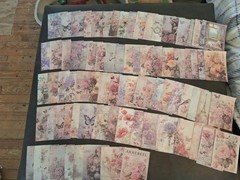 100Pc Floral Abundance Scrapbooking JJ Craft Papers No Duplicates