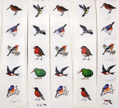 30 Bird Themed Stickers/Scrapbooking/Crafts/Journals/Planner/0.5″ to 0.85″