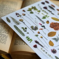 Rub-on stickers | 3 sheets watercolor green leaf botanical flower floral leaves
