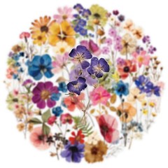 50PC Aesthetic Clear Floral Stickers for Scrapbooking, Journals, & Art Projects