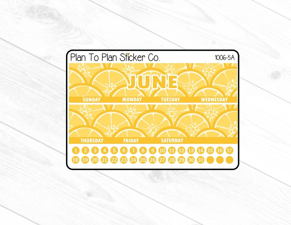 1006-5A~~June 7X9 Monthly View Planner Stickers.