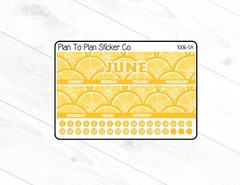 1006-5A~~June 7X9 Monthly View Planner Stickers.