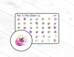 2691~~Watercolor Splash Date Cover Planner Stickers.