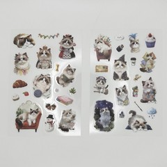 Cute Ragdoll Kitten Stickers 4 Sheets Multicolor Transparent PET Craft Diary Kid