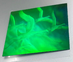 VTG Polaroid 3-D 90’s Holograms Prototypes Seagulls / Birds in Flight 3.25×3.25″