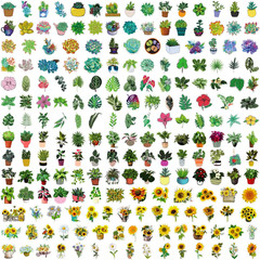Stickers for Water Bottles 200 Pcs VSCO Sticker Packs Flower and Plant Theme Wat