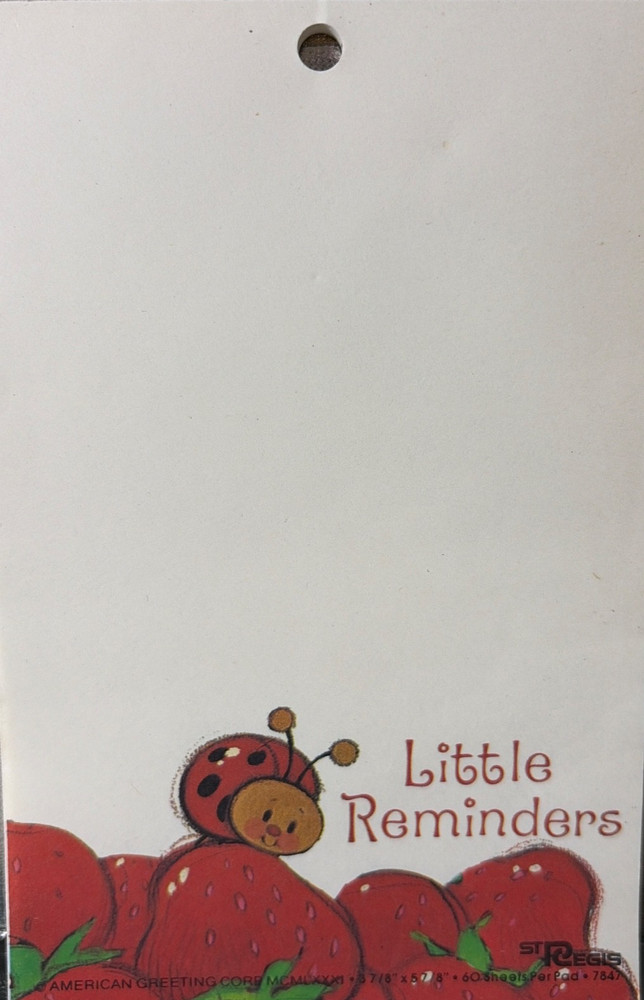 VINTAGE 80’S AMERICAN GREETINGS STRAWBERRY SHORTCAKE MEMO PAD 30 SHEETS