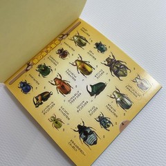 Beetle and Stag Beetle Japanese Stickers book 275 Stickers Shogakkan Neo JP