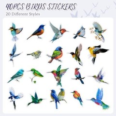 40PCS Bird Stickers, Bird Stickers Waterproof for Colorful Birds-40pcs