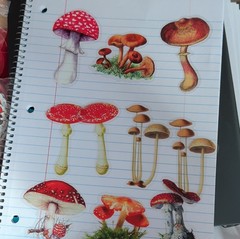 Planner Stickers Set Multicolor Flowers & Plants Mushroom Scrapbooking