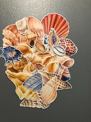 25 sea shell sticker pack, sticker bundle, ocean stickers, journal, scrapbook