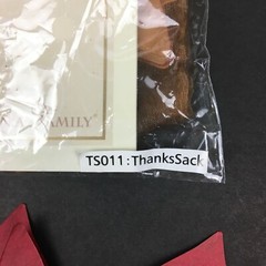 Treasured Traditions Thanks Sack Fall Autumn Leaves Scrapbooking Memories Decor