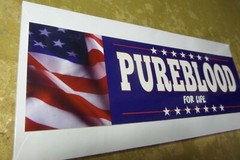  10″ x 3″ Pureblood Bumper Sticker 4 mil Laminated Polypropylene Waterproof