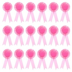 Blank Award Ribbon 18 Pcs Honorable Prize Recognition Ribbon for DIY Party We…