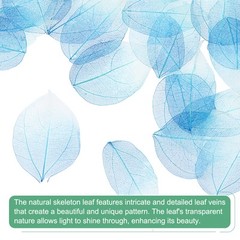 200-Pack Skeleton Leaves, Natural Rubber Leaves Vein[4-6cm, Dark Light Blue]