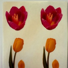 Vintage Magic Wax Pink Yellow Tulip Petals Green Stem Flower Scented Sticker Lot