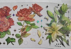 Forest Poetry stickers, clear with holographic gold accents. 3 different sheets.