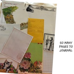 Curated Junk Journal Starter Kit Nature Outdoor Inspired Ephemera & More 150+pcs