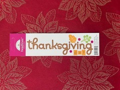 YOU CHOOSE – UPDATED 9/24 FALL THANKSGIVING Rare Jolee’s Stickopotamus Doodlebug