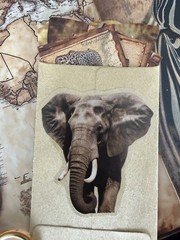 104 Pc Vintage Safari Junk Journal Kit African Wildlife Maps Tags Ephemera Set
