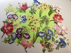 Anna Griffin Large Flower Embellishments 20 Pieces