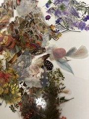 50pcs Small Lot Junk Journal Scrapbook Ephemera