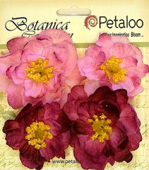 RUFFLED PEONY – FUCHSIA – 45 to 50mm x 4 Flowers with Centre FABRIC Petaloo A