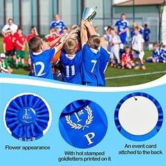 6 Pcs Award Ribbon Set 1st-6th Victory Rosette Halloween First Place Ribbon 1st,