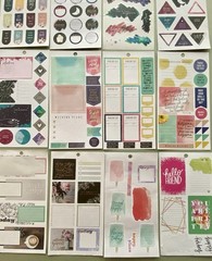 Lot Of 40 Sheets Happy Planner Complete & Incomplete! #3