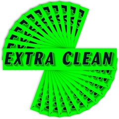 Extra Clean Windshield Stickers, Chartreuse Green, 12-Pack