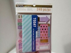 Recollections Planner Stickers Budget Bill Pay Accessory Kit 249 Pieces