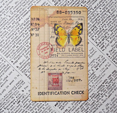 Handmade Embellishments Field Specimen Cards Junk Journal Scrapbook Altered Art