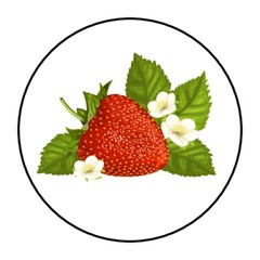 strawberry envelope seals, stickers, labels, tags, fruit