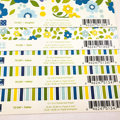 Pebbles Scrapbook Paper Lot 12×12 Family Ties 5 Sheets 2012 Double Sided