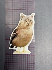Weird and Unique “Meowl” Sticker Featuring Cat-Owl Hybrid for Journal Scrapbook