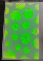 VTG Polaroid 3-D 90’s Hologram Sticker- SHELL Transparent 2 x 3.25″
