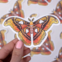Atlas Moth Sticker – Waterproof Vinyl Nature, Garden, & Insect Decal – Crafts