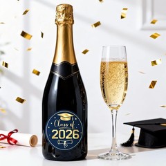 Graduation Stickers 2026 – Class of 2026 Stickers 60Pcs 1.75» Graduation Env…