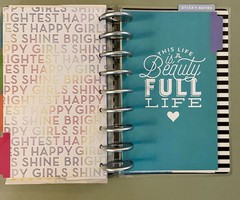 HUGE Lot of Happy Planner Stickers Over 140 Pages Of Stickers & 2 Binders