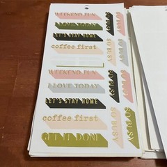 The Happy Planner Loose Partial Sticker Pages 120 Count