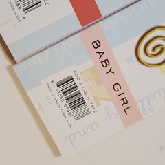 NEW Lot 3 DCWV Color Vellum Title Stacks FAMILY BABY GIRL BOY Headers 75 ct -G