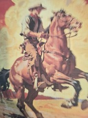 30 Pgs Of Washi Stickers & 20 Sheets Of Ephemera Papers New Style Wild Wild West